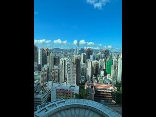西半山 - 罗便臣道80号 02