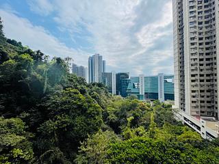 薄扶林 - 碧瑤灣 05
