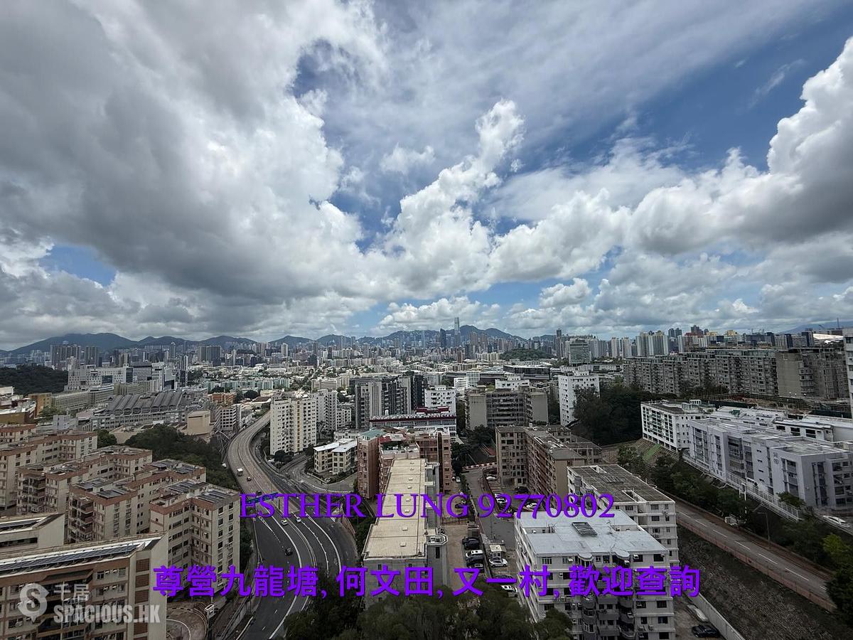 Beacon Hill - Vista Panorama 01