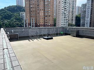 大坑 - 煜康台 14