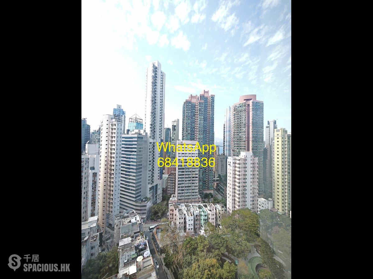 Sheung Wan - Hollywood Hill 01