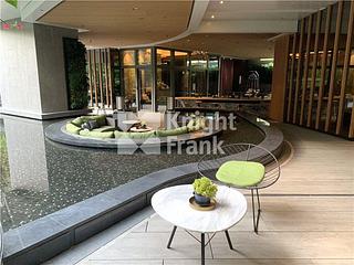 Shau Kei Wan - Lime Gala 12