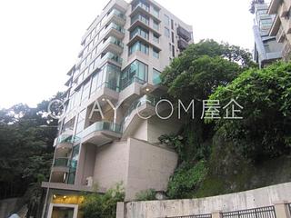 司徒拔道 - 东山台12号 22