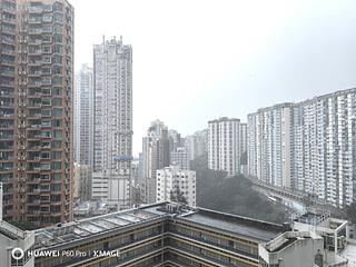 大坑 - 春晖8号 03