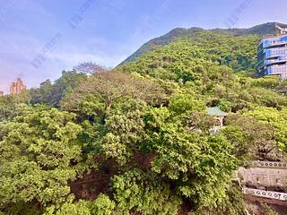 西半山 - 聯邦花園 04