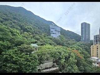 西半山 - 聯邦花園 14