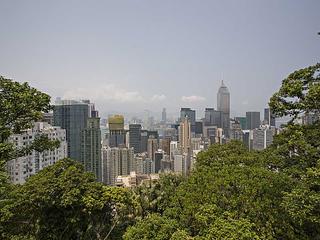 東半山 - 楠桦居 23