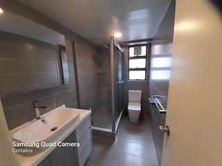 Mid Levels West - Dragonview Court 18