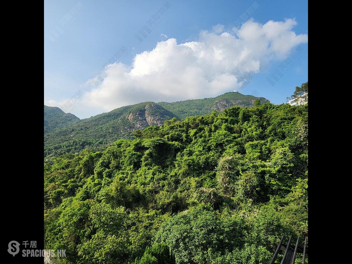 寿臣山 - 嘉碧苑 01