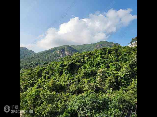 寿臣山 - 嘉碧苑 01