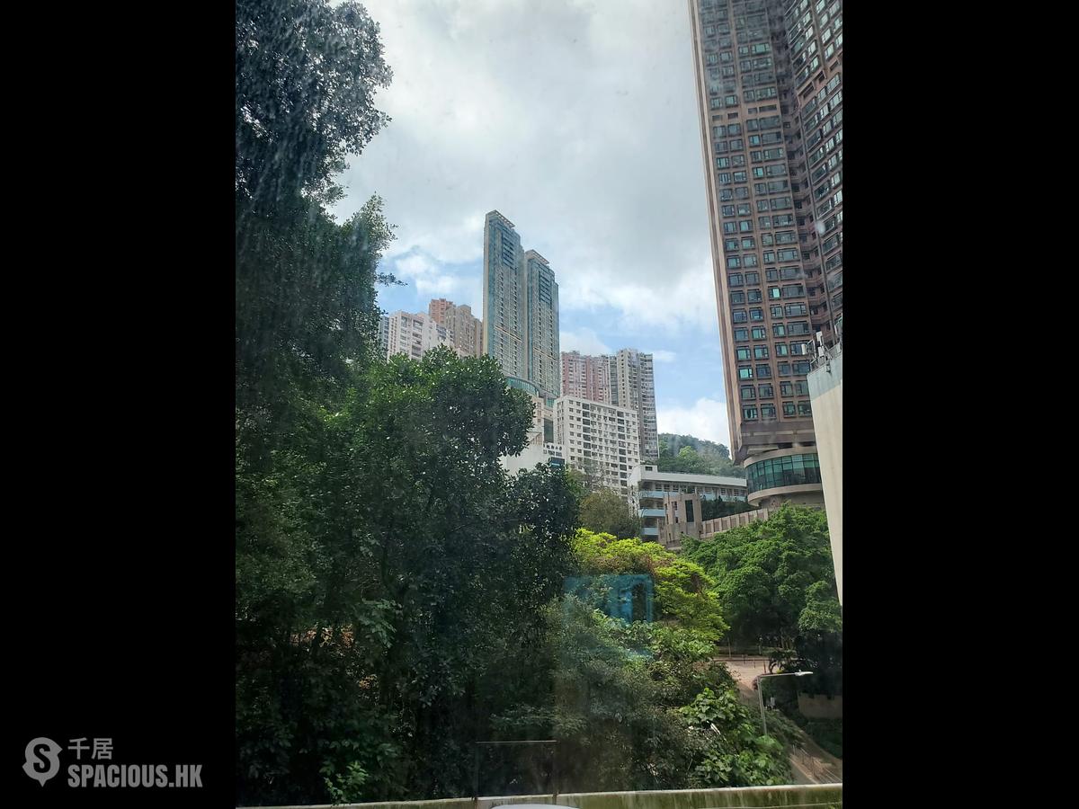 炮台山 - 金堡大廈 01
