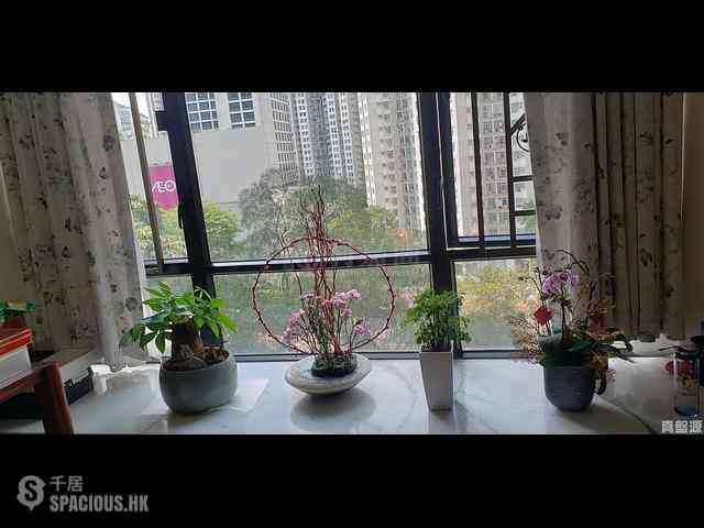 Quarry Bay - Kornhill 01
