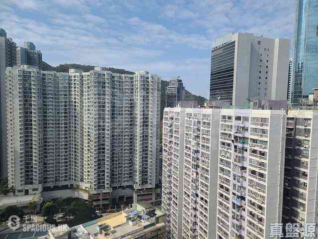 鲗鱼涌 - 康怡花园 01