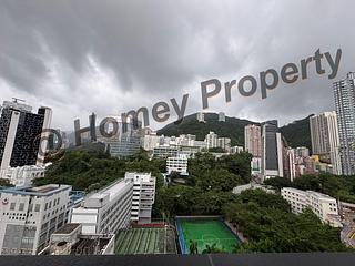 灣仔 - 華都樓 10