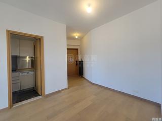 佐敦 - Grand Austin 1A座 04