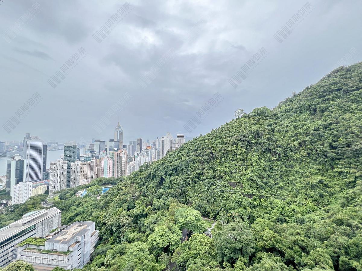 東半山 - Bowen's Lookout 01