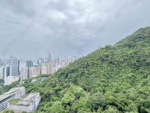 東半山 - Bowen's Lookout 01