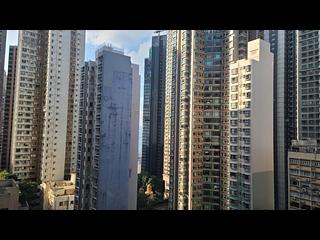 中半山 - The Icon 18
