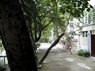 Kennedy Town - Jade Lotus Garden 07