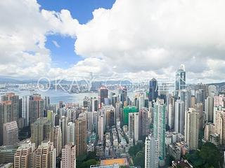 西半山 - 罗便臣道80号 20