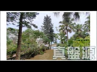 The Peak - Mount Austin Estate 04