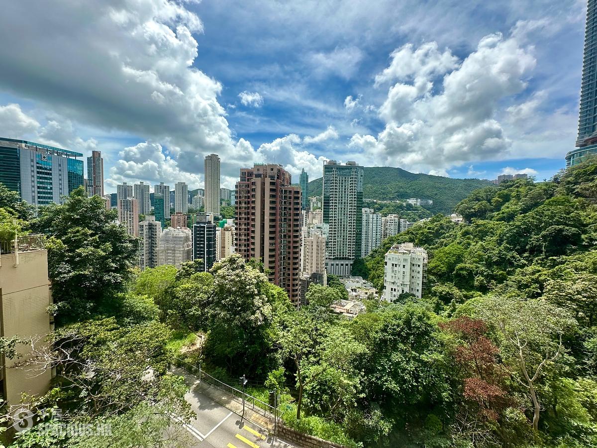 司徒拔道 - 紀園 01