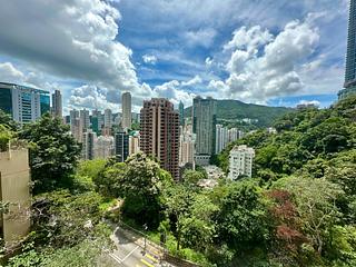 司徒拔道 - 紀園 02