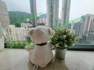 Kennedy Town - Belcher's Hill 02
