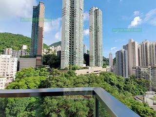 堅尼地城 - 寶雅山 14