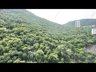 Stubbs Road - Woodland Heights 05