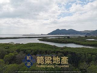 Tai O - Tai O Village 08
