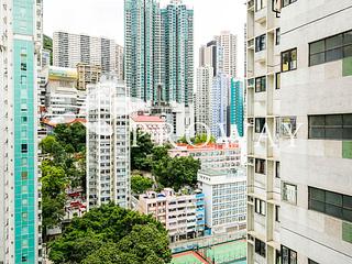 Poho - Rich View Terrace 02