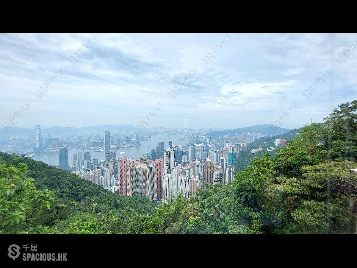山顶 - The Mount Austin 01