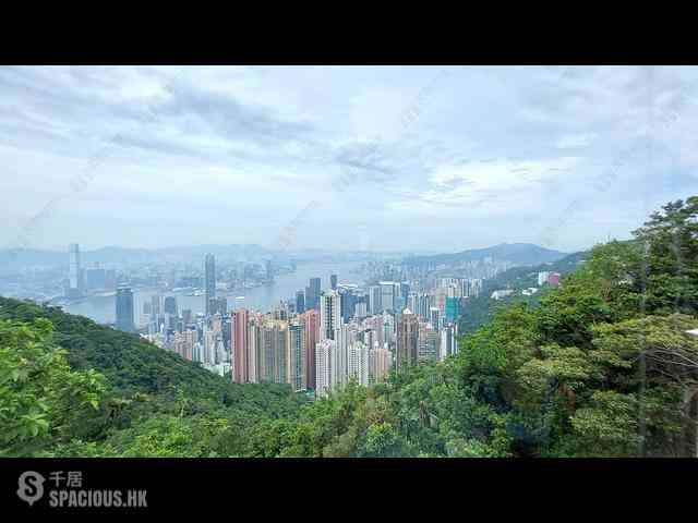 山顶 - The Mount Austin 01