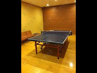 Shek Tong Tsui - The Belcher's 11
