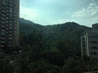Mid Levels West - 1, Po Shan Road 04