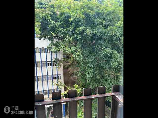 Tai Hang - Wing Hing Court 08