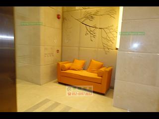 Kennedy Town - Lexington Hill 24