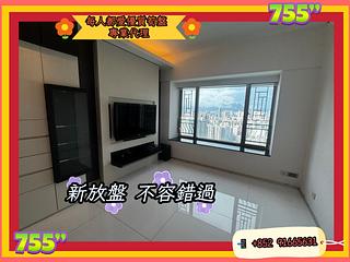 西九龙 - 擎天半岛1期3座 07