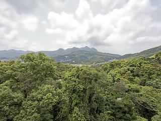 西贡 - 早禾居 23