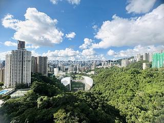 跑马地 - 柏乐苑 13