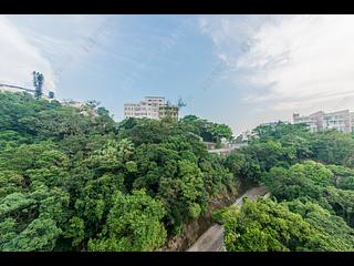 山頂 - 馬己仙峽道26號 11