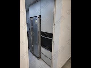Noho - 荷李活华庭 11