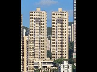 跑马地 - 乐翠台 10