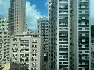 Happy Valley - Palm Court 08