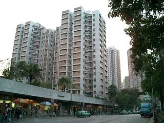 大埔 - 八号花园3座 06