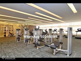Sai Ying Pun - Island Crest 13