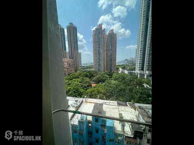 Tai Kok Tsui - Man Lee Building 07
