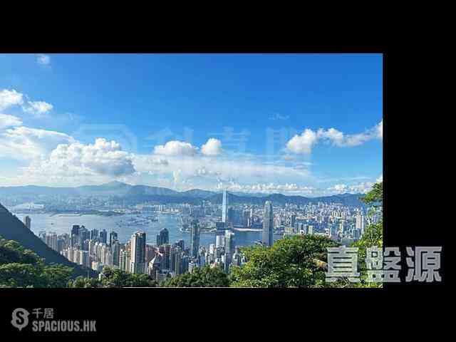 山顶 - 山景 种植道27号 01