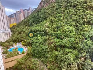 西半山 - 聯邦花園 11